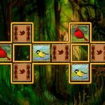 Bird Cards Match