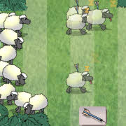 Sheep Reaction Test